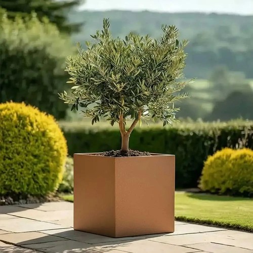 Zinc galvanised square planter - zinc,