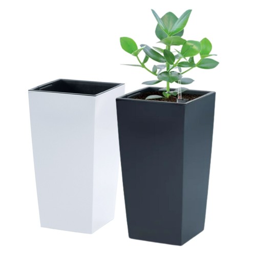 Tall planter plant pot flower - tall,