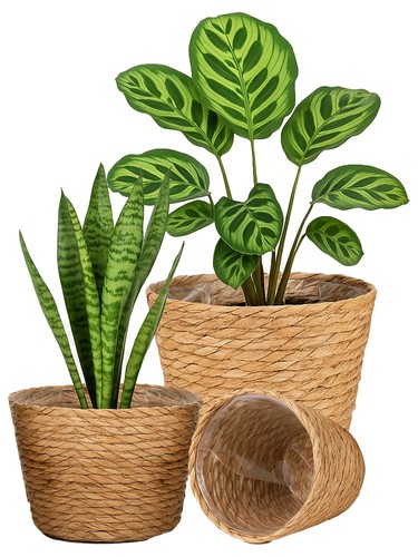 Sized seagrass planter - seagrass,
