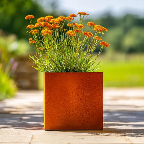 Corten steel cube planter with - steel,
