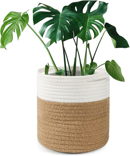 Tenn well 20cm plant pot - plant,